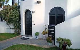 Leilani Cotillo Garden 2
